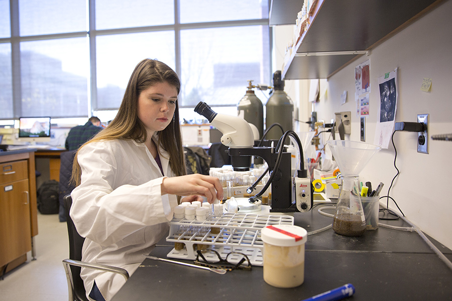 Beckman Scholar Jess Young works in a science laboratory