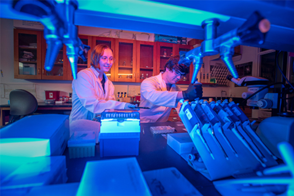 Students work in a biochemistry lab